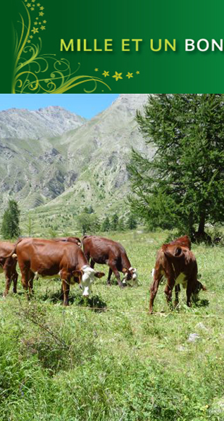 Chambre d hote Gites Maisons d hotes Gite rural
