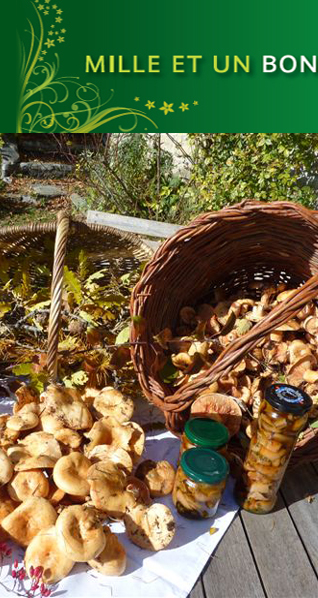 Chambre d hote Gites Maisons d hotes Gite rural